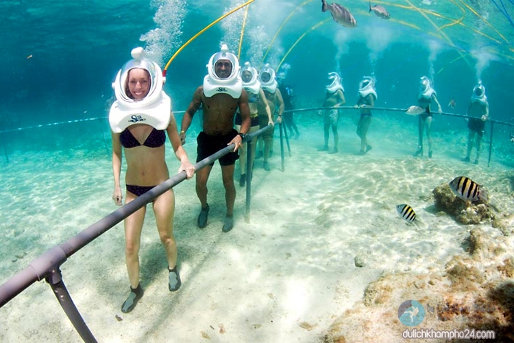 Tour cù lao Chàm - đi bộ dưới biển