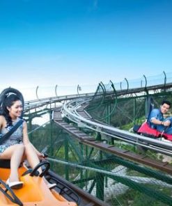🎢 Alpine Coaster Experience