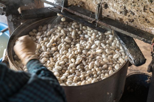 Book a private Hoi An cultural tour to explore Tra Que Vegetable Village, Hoi An Silk Village, and Ancient Town UNESCO site. Authentic countryside experience with local culture and history. From $50/pax.