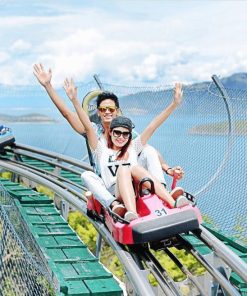 🎢 Alpine Coaster Experience
