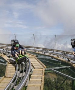 🎢 Alpine Coaster Experience