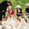 👉 Enjoy a unique duck feeding experience on a Vietnamese farm. Explore rural life, connect with nature, and discover authentic countryside activities.