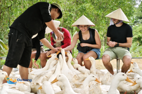 👉 Enjoy a unique duck feeding experience on a Vietnamese farm. Explore rural life, connect with nature, and discover authentic countryside activities.
