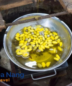 Hoi An Wellness Tour | Tra Que Vegetable Village, Cooking Class, Silk Village & Herbal Massage